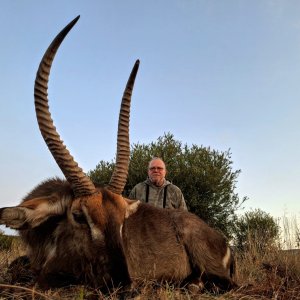 Waterbuck Hunt South Africa