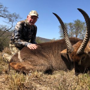 Waterbuck Hunt Eastern Cape South Africa