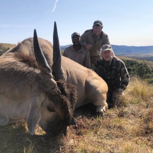 Eland Hunt Eastern Cape South Africa