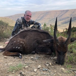 Bushbuck Hunt Eastern Cape South Africa