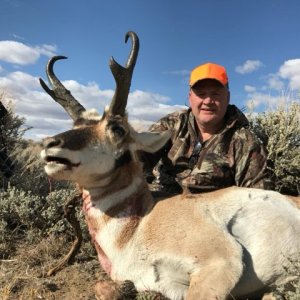 Pronghorn Hunt  Colorado