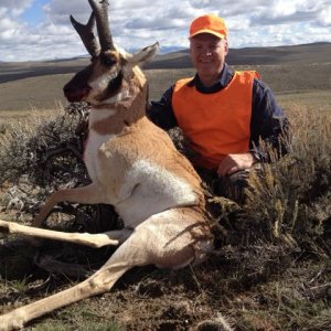 Pronghorn Hunt Colorado