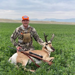 Hunting Pronghorn Wyoming