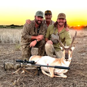 Pronghorn Hunt Texas