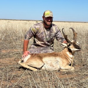 Pronghorn Hunt Texas