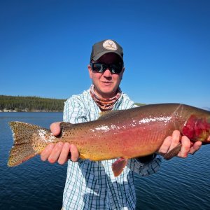 Fishing Cutthroat Trout Yellowstone Lake