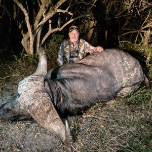 Cape Buffalo Hunt Eastern Cape South Africa