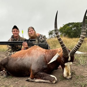 Blesbok Hunt Eastern Cape South Africa