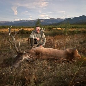 Stag Hunt Romania