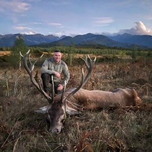 Stag Hunt Romania