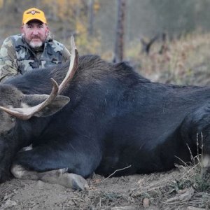 Shiras Moose Hunt Wyoming