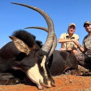 Sable Bow Hunt Limpopo South Africa