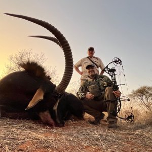 Sable Bow Hunt Limpopo South Africa