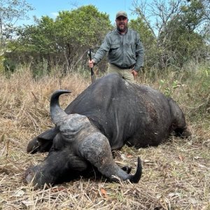 Buffalo Hunt Tanzania