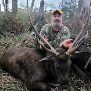 Backpack Sambar Stag Hunt Australia