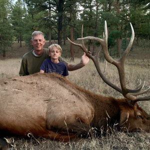 Elk Hunt New Mexico