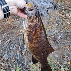 Fishing Smallmouth Bass