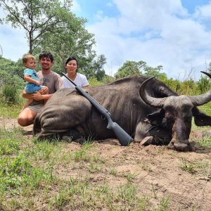 Buffalo Cow Hunt Limpopo South Africa