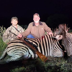 Zebra Hunt Limpopo South Africa