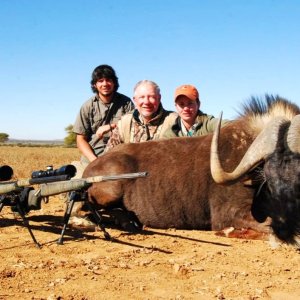 Black Wildebeest Hunt Limpopo South Africa