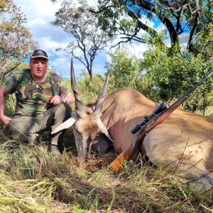 Eland Hunt Limpopo South Africa