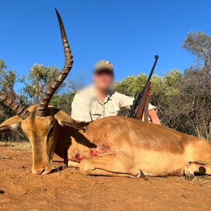 Impala hunt North West Province