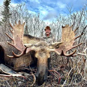 Canadian Moose Hunt