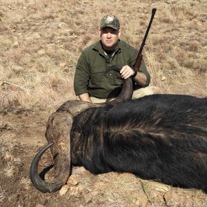 Buffalo Hunt Eastern Cape South Africa