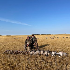 Bird Hunting Saskatchewan