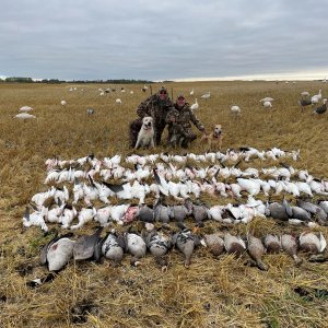 Bird Hunting Saskatchewan