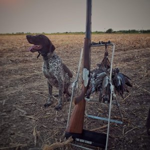 Mexico Bird Hunting