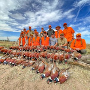 Mexico Bird Hunting