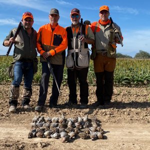 Mexico Bird Hunting