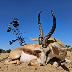 Springbuck Bow Hunt South Africa