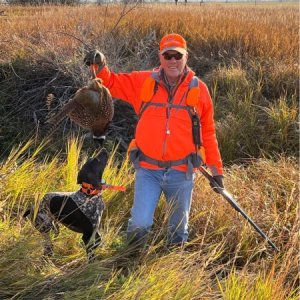 Pheasant Hunt Montana