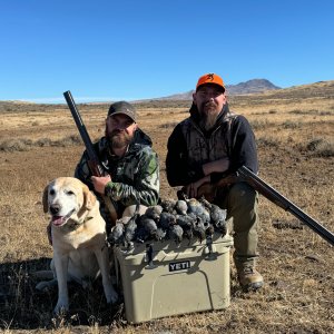 Northern California High Desert Bird Hunt