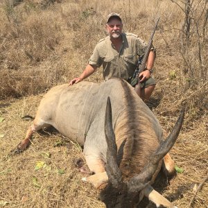 Eland Hunt Mozambique