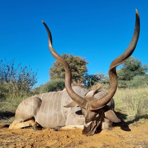 Kudu Hunting Kalahari South Africa