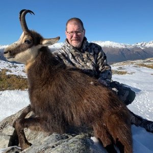 Hunting Chamois