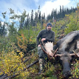 Moose Hunt British Columbia Mountains Canada