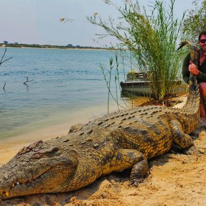 Crocodile Hunt Caprivi Namibia