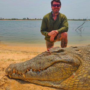 Crocodile Hunt Caprivi Namibia