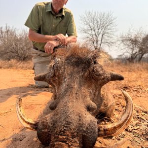 Warthog Hunt Mozambique