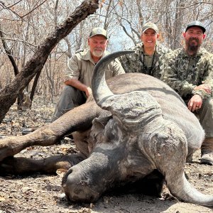 Buffalo Hunt Tanzania