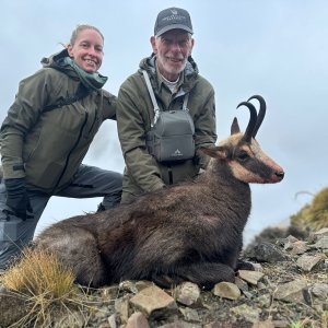 Chamois Hunt New Zealand