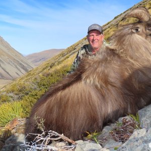 Tahr Hunt New Zealand