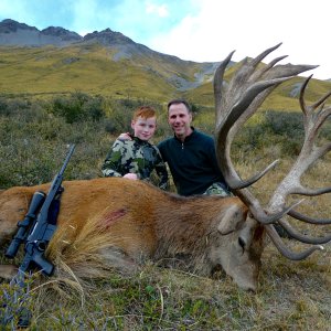 Red Stag Hunt New Zealand