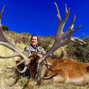 Red Stag Hunt New Zealand