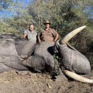 Elephant Hunting Namibia