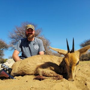 Steenbok Hunt South Africa